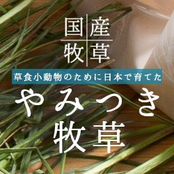 やみつき牧草特集
