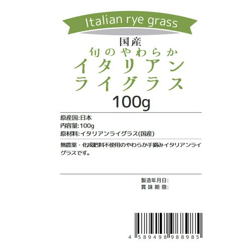 令和6年産 国産 旬のやわらかイタリアンライグラス 100g 無農薬 無添加 小動物のおやつ