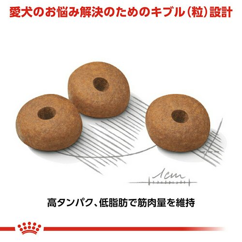 ロイヤルカナン 減量したい犬用 小型犬用 ミニ ライトウェイトケア 生後10ヵ月齢以上 8kg×2袋 ジップ付(ドッグフード)