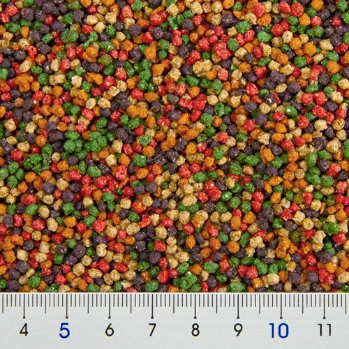 ビバリア レップカル 幼体イグアナフード 170g 体長30cm以下の草食性トカゲの毎日の食事に!