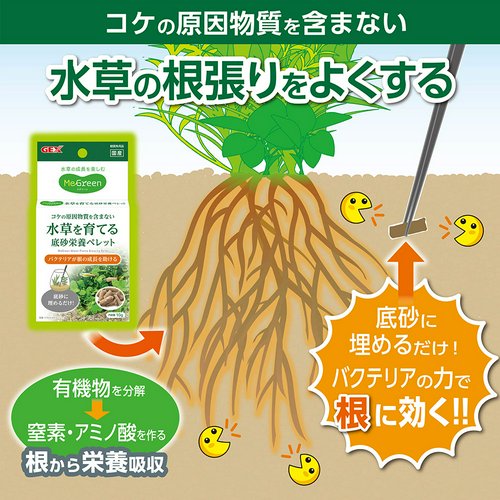 GEX MeGreen 水草を育てる底砂栄養ペレット 10g コケの原因物質を含まない コケ予防 バクテリア