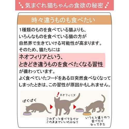 12袋(10袋+2袋おまけ) ロイヤルカナン 猫 ウェット インスティンクティブ 7+ 中高齢猫 85g