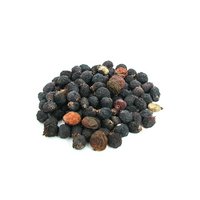 【種子】オペルクリカリア デカリー(10粒)発芽温度30℃~