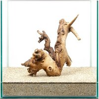 一点物 サンゴウッド 30cm水槽用 859651