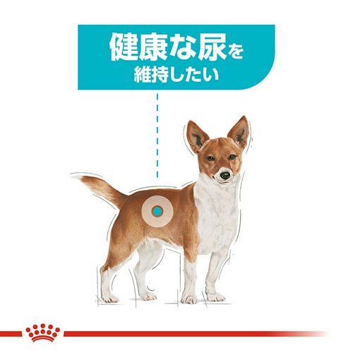 ロイヤルカナン 健康な尿を維持したい犬用 超小型犬~小型犬用 ミニ ユリナリー ケア 生後10ヵ月齢以上 2kg×2袋 ジップ付