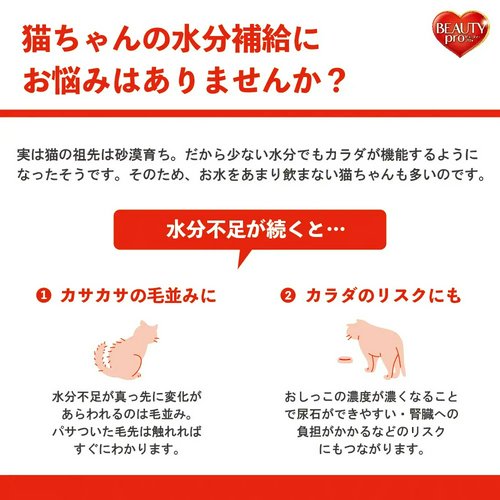 ビューティープロ キャット Wケア&パウチお試しセット Wケア低脂肪筋力サポート150g&パウチまぐろ×2