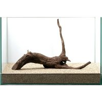 一点物 ドリフトウッド 45cm水槽用 852682