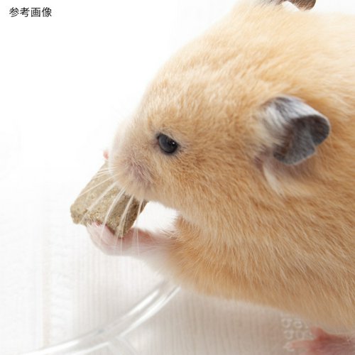 おからのヘルシー昆虫クッキー 25g タンパク質が必要な小動物用 ハムスター モモンガ ハリネズミ 無添加 無着色 小麦粉不使用