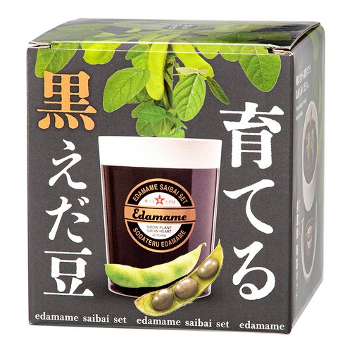 聖新陶芸 育てる黒えだ豆 栽培セット ギフト 父の日 プレゼント