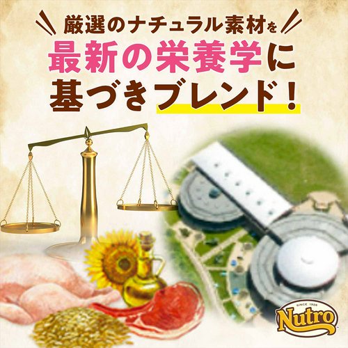 ニュートロ 猫 ナチュラルチョイス 食にこだわる猫用 アダルト チキン 2kg+デイリー ディッシュ アダルト パウチ おまけ付