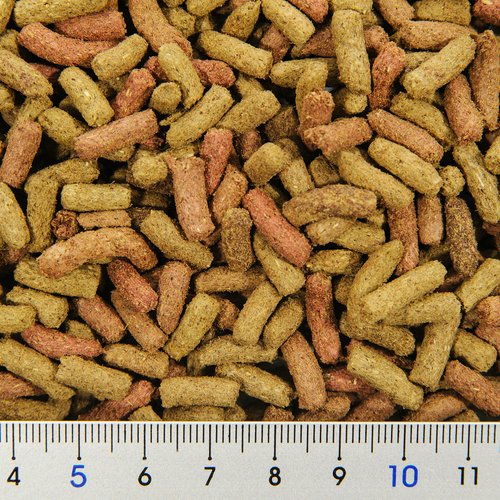 GEX エキゾテラ リクガメブレンドフード 180g 草食のリクガメトカゲにオススメ!
