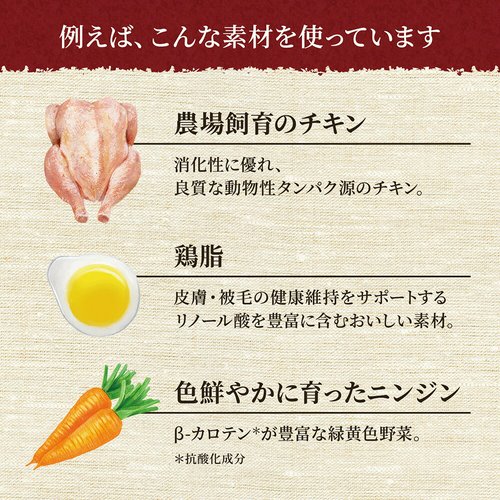 ニュートロ 子猫 シュプレモ 子猫用 チキン&サーモン 2kg + デイリーディッシュ パウチ チキン なめらかなムースタイプ 35g×12袋