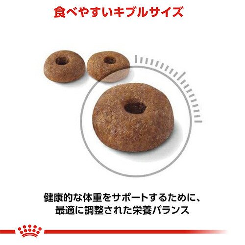 【増量おまけ】ロイヤルカナン 猫 ライト ウェイト ケア 減量したい成猫用 生後12ヵ月齢以上 8kg ジップ付 + 400g×2袋 おまけ