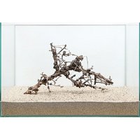 一点物 ブルームウッド 45cm水槽用 896887