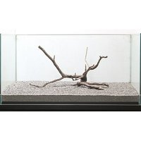 アウトレット品 一点物 極上流木単体 大型水槽用 862815  訳あり