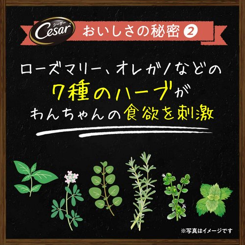 シーザー 自然素材レシピ ビーフチキン&パプリカいんげん 85g×2個 ドッグフード