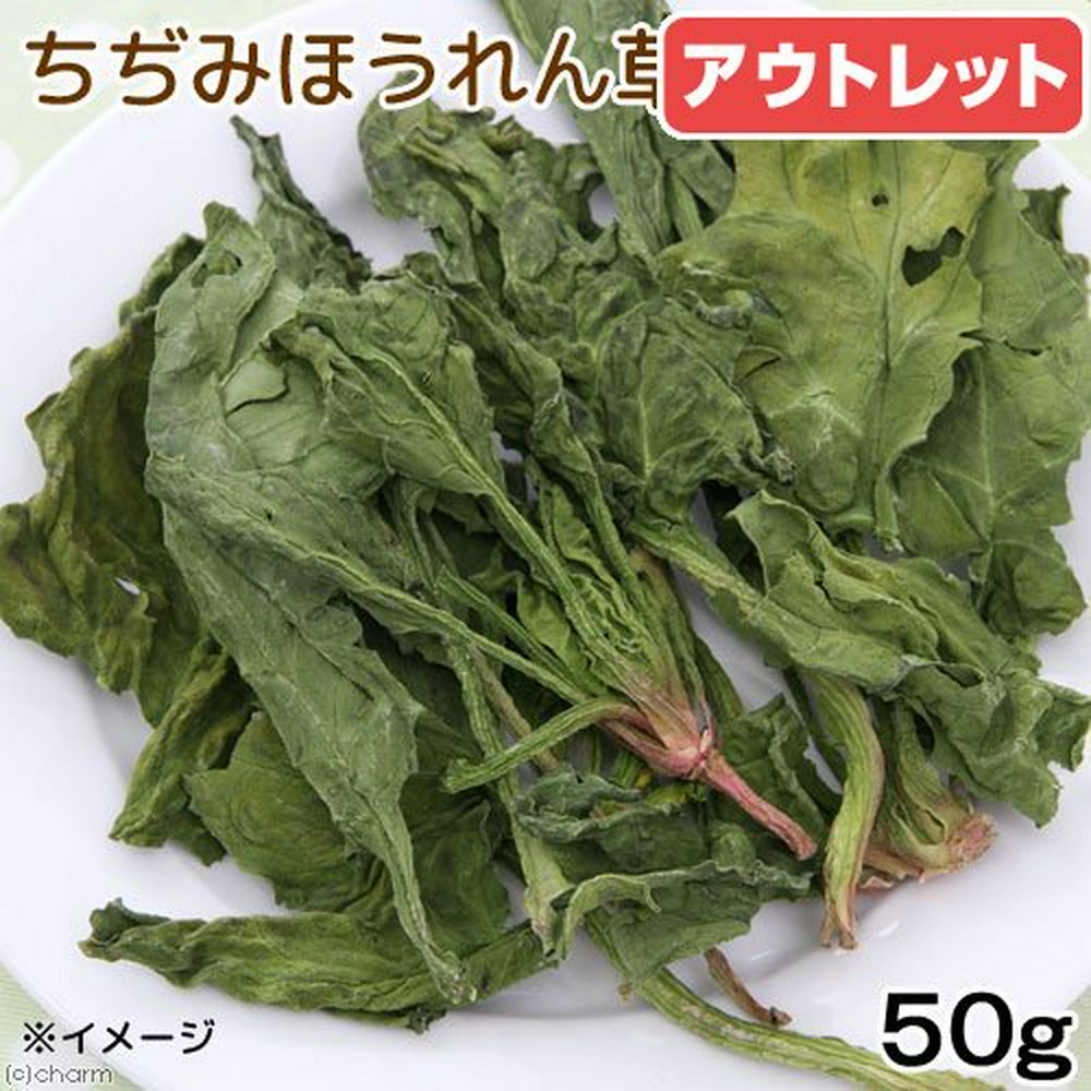 消費期限:2025年08月01日 国産 ちぢみほうれんそう 50g 小動物用のおやつ 国産 無添加 無着色 訳あり