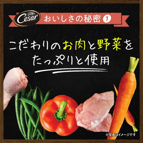 シーザー 自然素材レシピ ビーフチキン&パプリカいんげん 85g×2個 ドッグフード