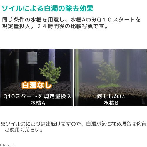 魚エビに優しいカルキ抜き Q10スタート 淡水用 250mL 植物由来 白濁除去