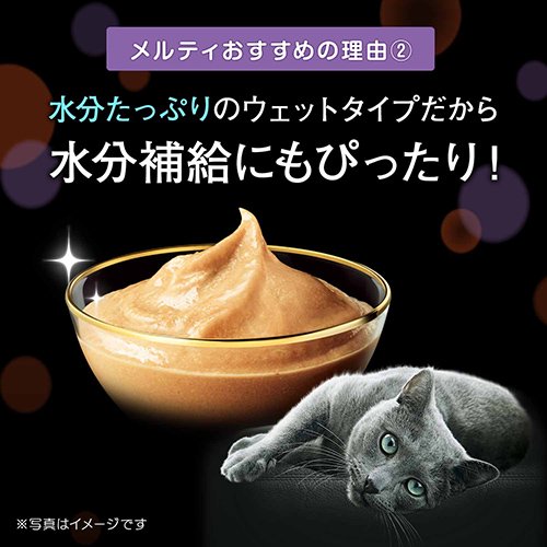 シーバ とろ~り メルティ お魚味グルメセレクション 12g×20本 キャットフード