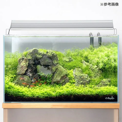 アウトレット品 ガラス水槽 アクロ60 スーパークリア 60×30×36cm 約60L ロゴ付き 熱帯魚 水草 60cm水槽  訳あり