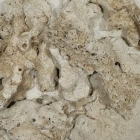 #200 C.P.Farm 天然サンゴ砂 #200 Natural coral sand 3L