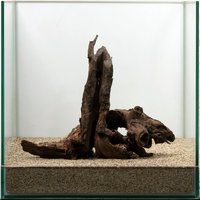 一点物 ドリフトウッド 30cm水槽用 853032