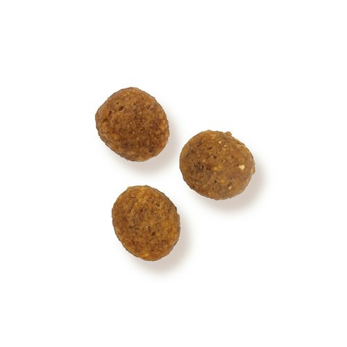 ドッグフード ドギーマン まいにちでるでるごはん 皮膚被毛とお腹の健康ケア 1kg