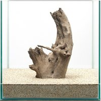 一点物 ホーンスタンプウッド 30cm水槽用 859351