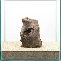 一点物 スタンプウッド 30cm水槽用 859362