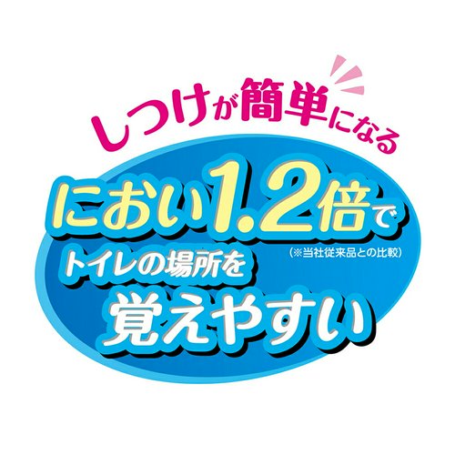 ペットプロ かんたんしつけシーツ レギュラー 42枚×24 ペットシーツ
