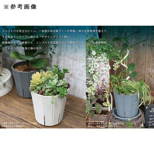 スリット鉢 アップルウェアー スリットオアシス 5号 ダークグレー 観葉植物 植木鉢 鉢 おしゃれ シンプル