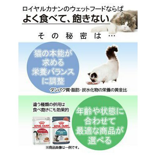 12袋(10袋+2袋おまけ) ロイヤルカナン 猫 ウェット ヘアボールケア 毛玉が気になる成猫用 85g