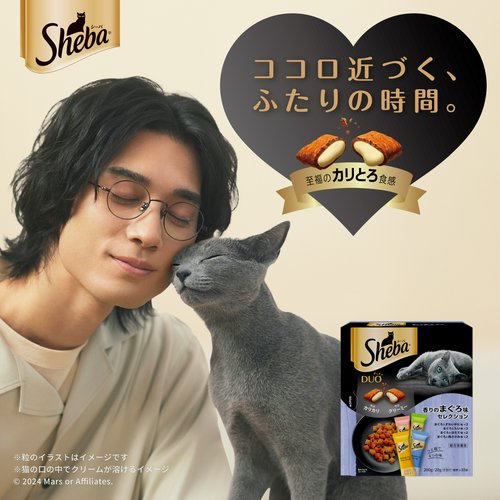 キャットフード シーバ デュオ 鶏ささみ味と海のセレクション 200g(20g×10袋)