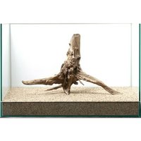 一点物 ディアーホーンウッド 45cm水槽用 852398