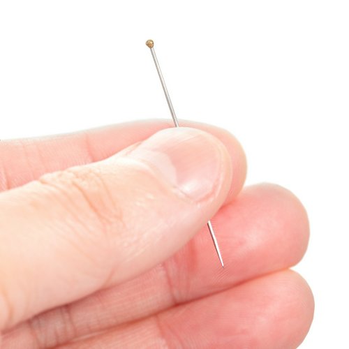 標本針 Austerlitz Insect Pins 5号 100本入り 長さ38mm