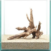 一点物 ディアーホーンウッド 30cm水槽用 859400
