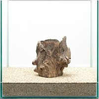 一点物 スタンプウッド 30cm水槽用 859365