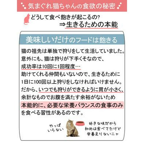12袋(10袋+2袋おまけ) ロイヤルカナン 猫 ウェット ステアライズド 成猫用 85g