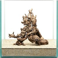 一点物 サンゴウッド 30cm水槽用 859642
