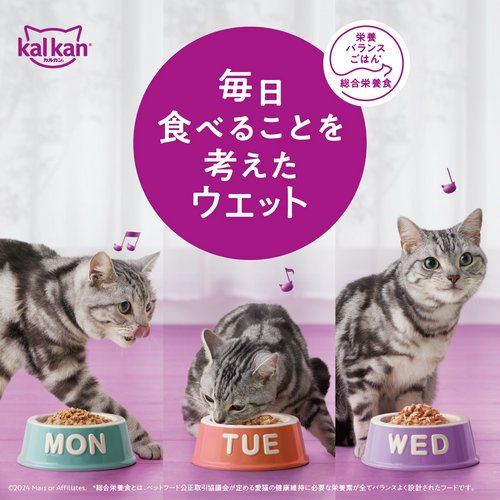 カルカン パウチ 4種のおいしさ まぐろたい白身魚さけ入り 60g×12 キャットフード