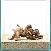 一点物 サンゴウッド 30cm水槽用 859654